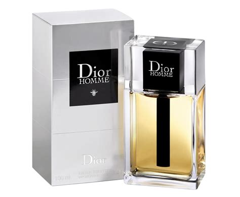 all dior homme|Dior Homme 2020 review.